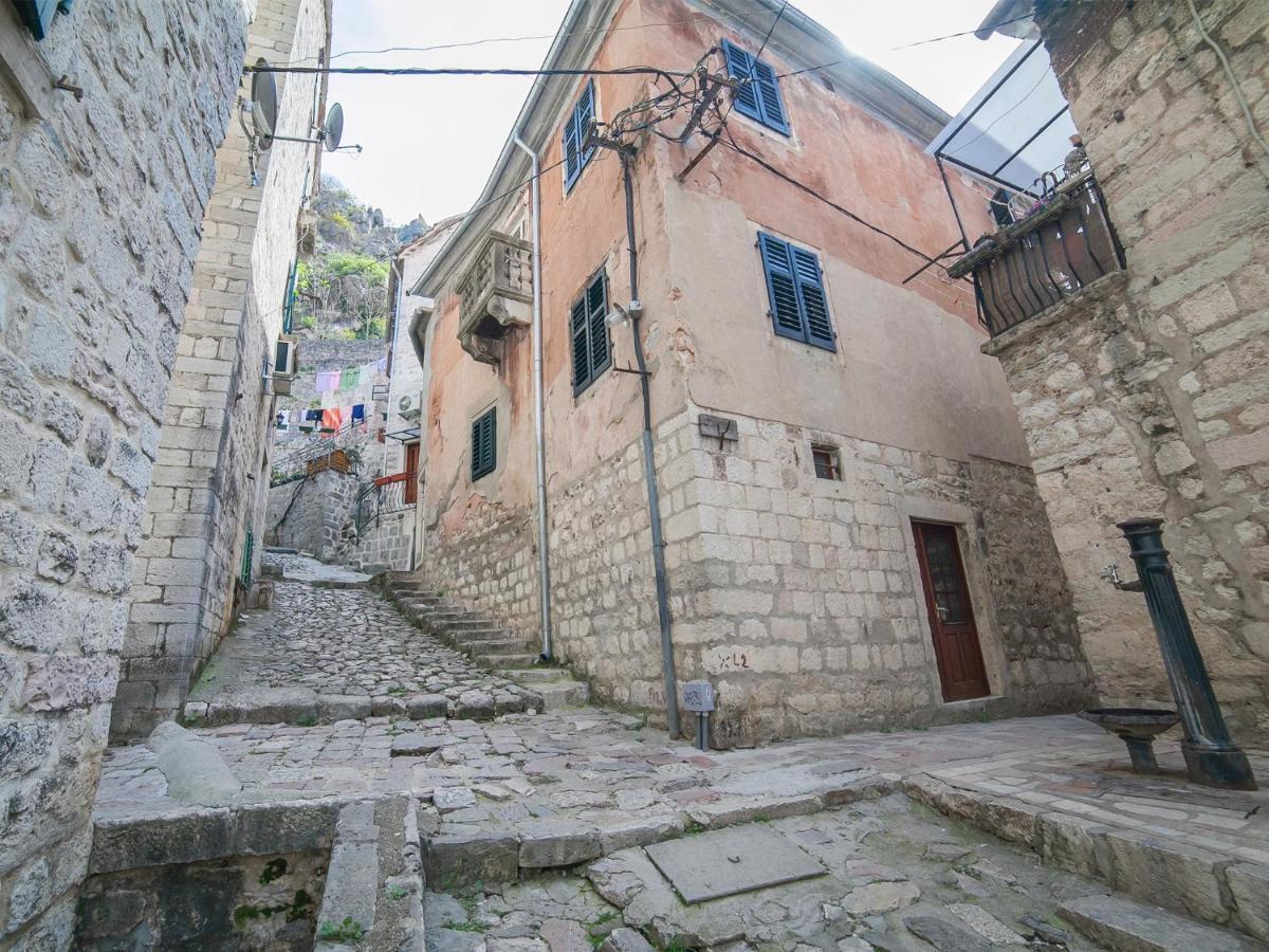 Apartment Alexandra Kotor Dış mekan fotoğraf