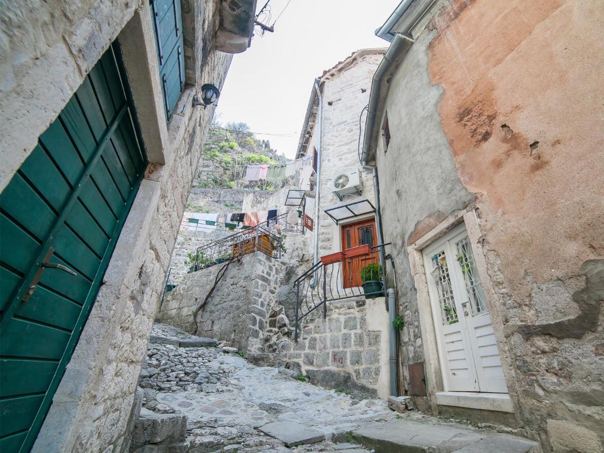Apartment Alexandra Kotor Dış mekan fotoğraf